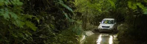 Все больше компания Land Rover рассказывает о новой Discovery