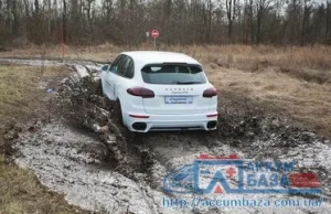 Porsche Cayenne и Macan протестировали на бездорожье