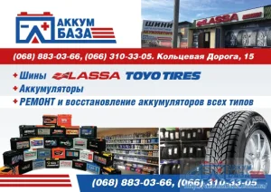 Ассортимент автомобильных аккумуляторов Varta и Bonzer